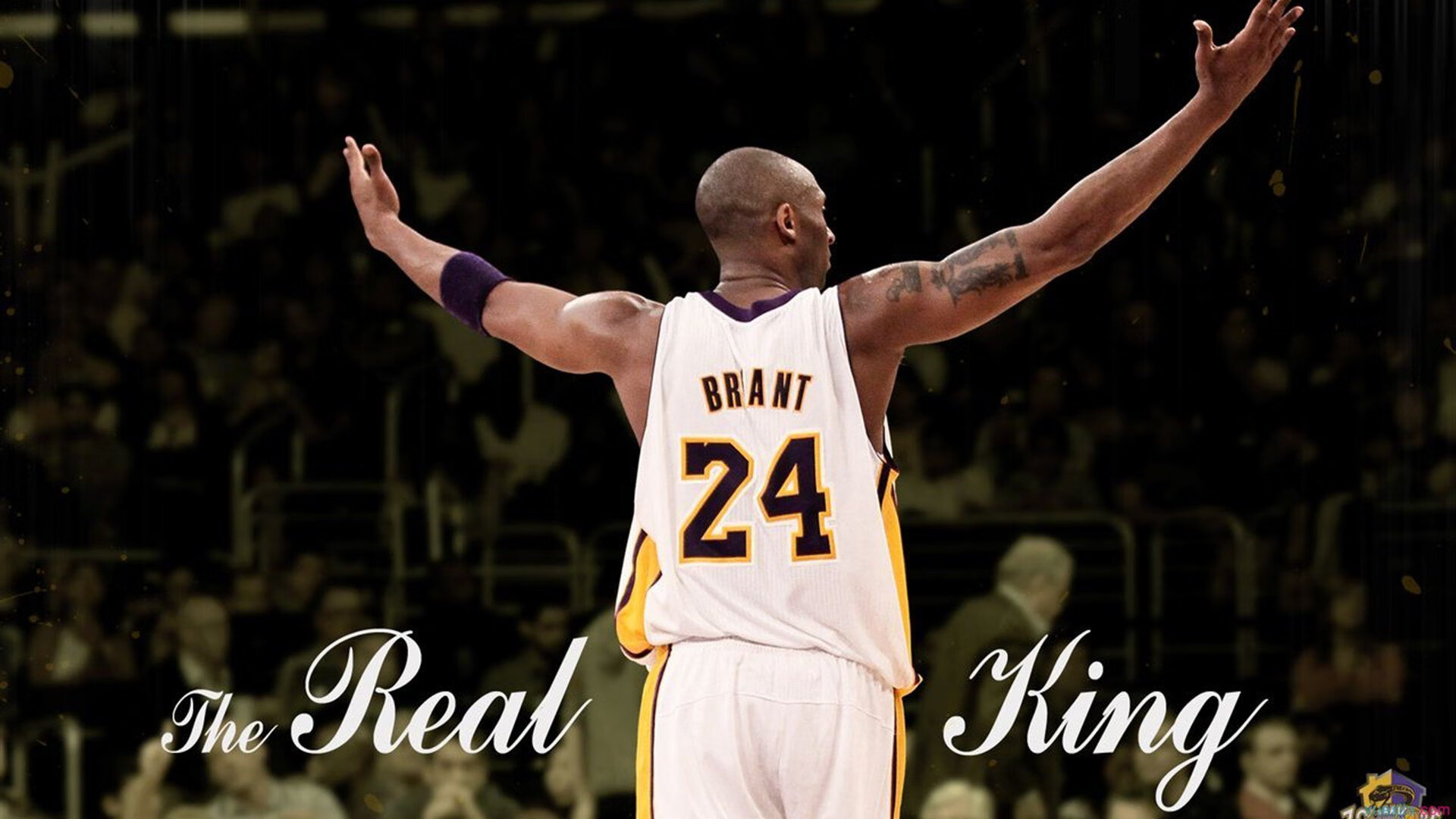 孙兴慜,撕裂防线的关键先生,如何用一己之力改写葡波战局?